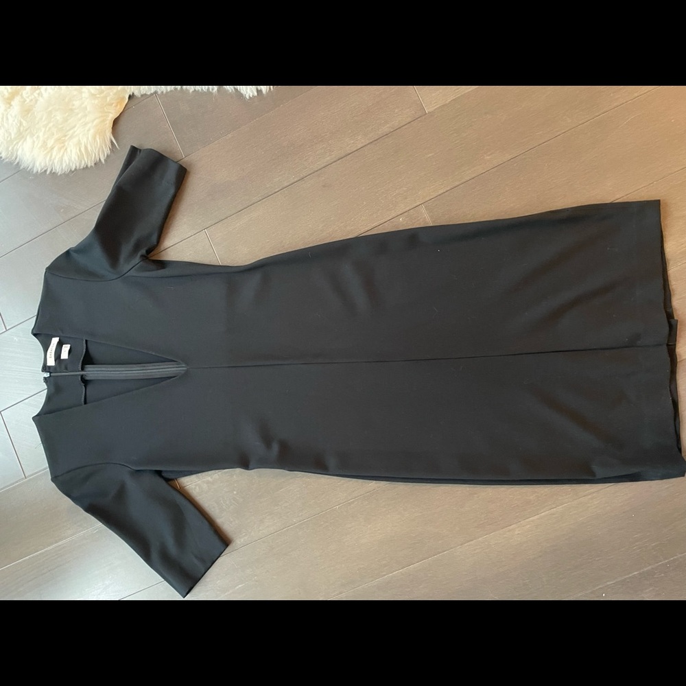 Aritzia Dress